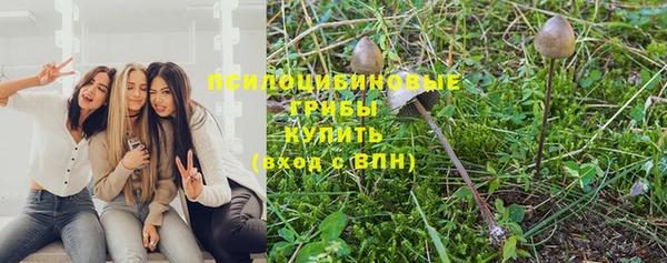 ECSTASY Алексеевка