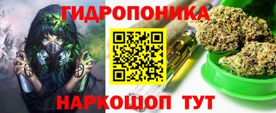 прущие грибы Пенза