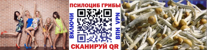 Галлюциногенные грибы Psilocybine cubensis Хасавюрт