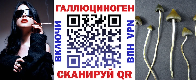 Галлюциногенные грибы GOLDEN TEACHER закладка Хасавюрт